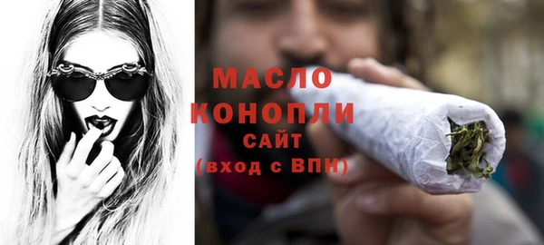 индика Богородицк