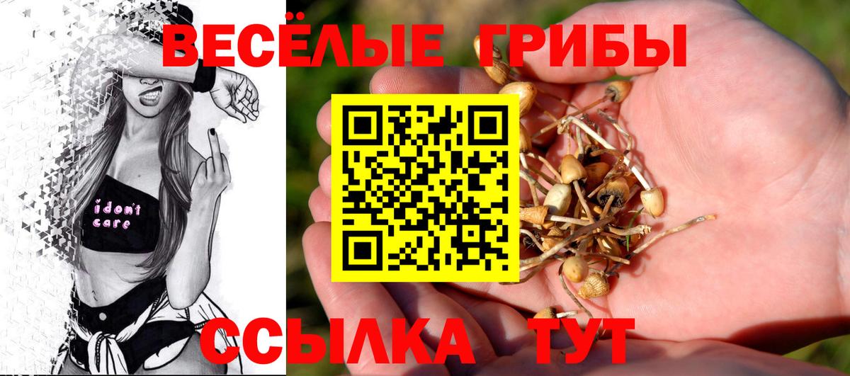 Галлюциногенные грибы мухоморы  Галлюциногенные грибы мухоморы  Курганинск  Вход с VPN 